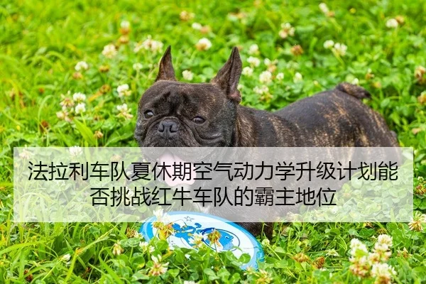 fa-la-li-che-dui-xia-xiu-qi-kong-qi-dong-li-xue-sheng-ji-ji-hua-neng-fou-tiao-zhan-hong-niu-che-dui-de-ba-zhu-di-wei-1-682.jpg