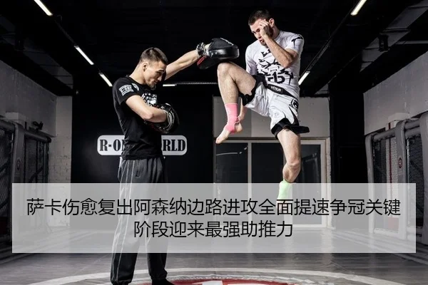 sa-ka-shang-yu-fu-chu-a-sen-na-bian-lu-jin-gong-quan-mian-ti-su-zheng-guan-guan-jian-jie-duan-ying-lai-zui-qiang-zhu-2-392.jpg